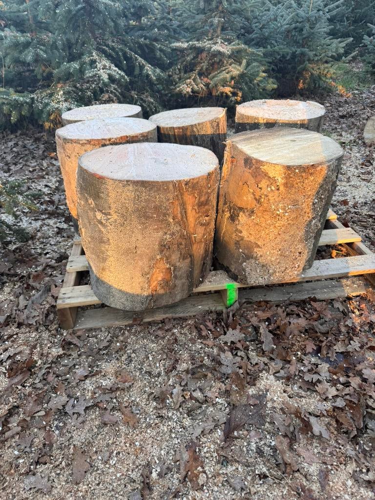 Massieve hakblokken 35–40 cm | €35 p/st, Tuin en Terras, Haardhout, Minder dan 3 m³, Ophalen, Blokken