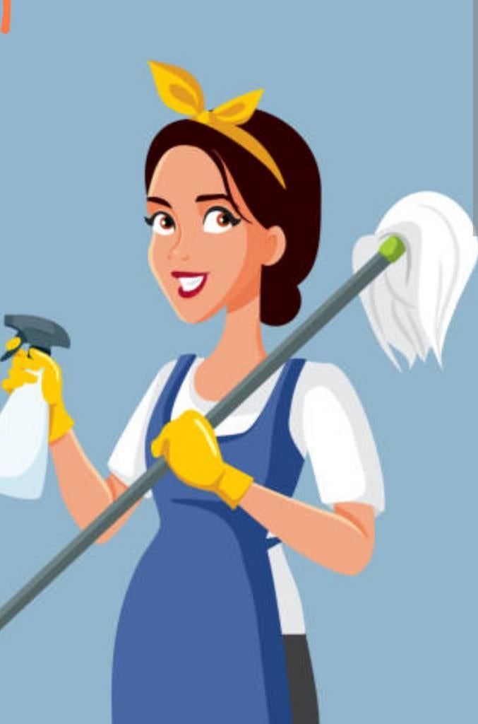 Schoonmaakster gezocht Groningen, Vacatures, Vacatures | Schoonmaak en Facilitaire diensten