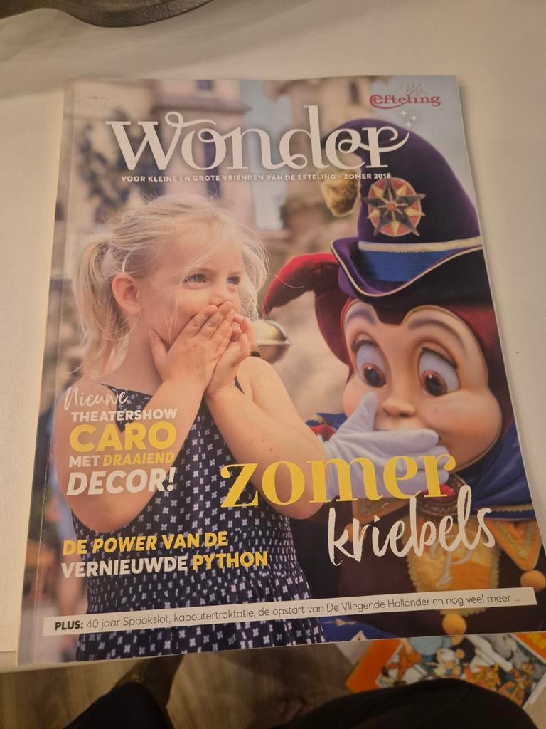 Efteling wonder boekje, Verzamelen, Efteling, Ophalen of Verzenden, Zo goed als nieuw, Overige typen