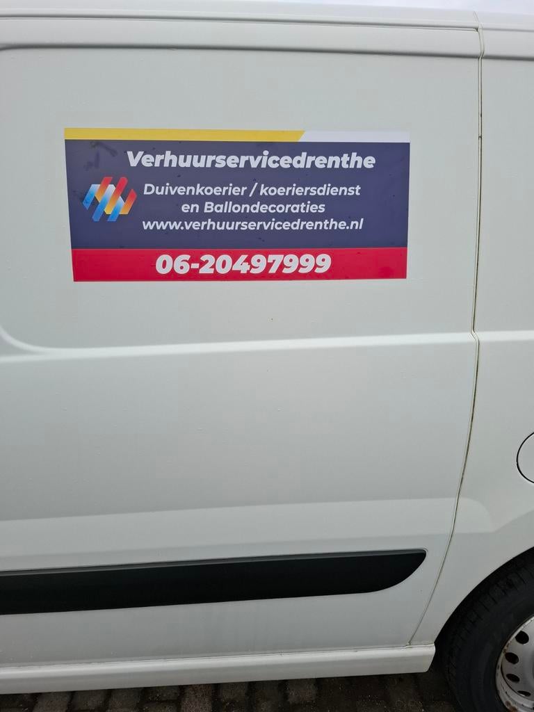 Duiven koerier/ koeriersdienst, Meerdere dieren, Postduif