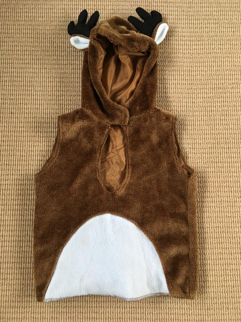 Verkleedkleding Hert Carnaval dieren hertje rendier Hema, Ophalen of Verzenden, Gebruikt, 104 of kleiner, Jongen of Meisje
