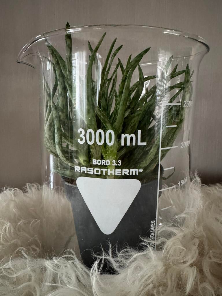 Gebruikte bekerglazen laboratorium glas, Ophalen