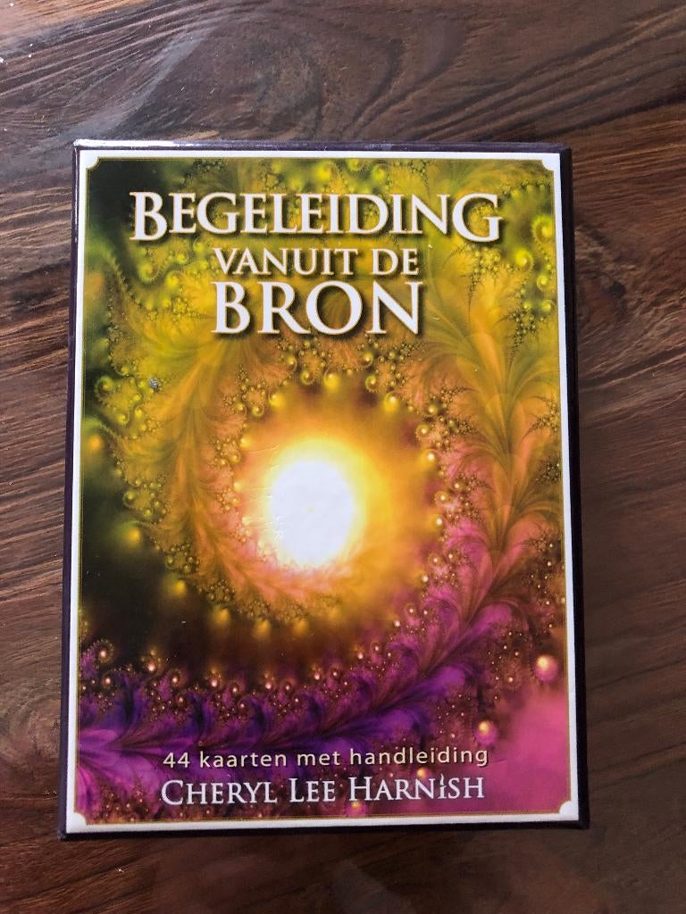 Begeleiding vanuit de bron, Ophalen of Verzenden, Zo goed als nieuw, Spiritualiteit algemeen, Overige typen