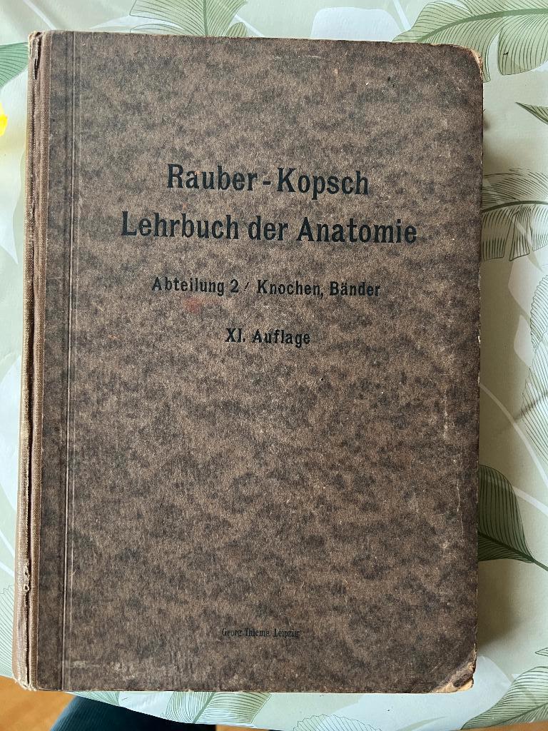 Lehrbuch der Anatomie abt.2 Knochen , Bander Rauber-Kopsch, Ophalen of Verzenden, Rauber-Kopsch