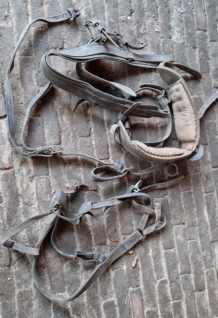 Antiek paardentuig, Dieren en Toebehoren, Paarden en Pony's | Hoofdstellen en Tuigage, Ophalen of Verzenden, Overige soorten