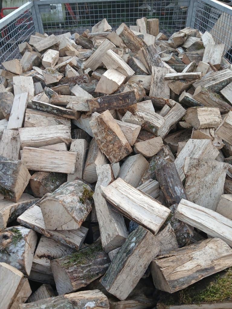 Droog brandhout, haardhout eik beuk es, Tuin en Terras, Haardhout, 6 m³ of meer, Ophalen of Verzenden
