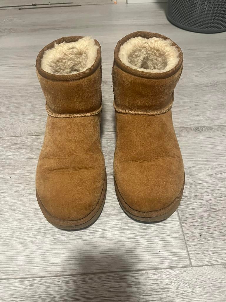 Ugg classic mini chesnut maat 38, Kleding | Dames, Schoenen, Ophalen of Verzenden