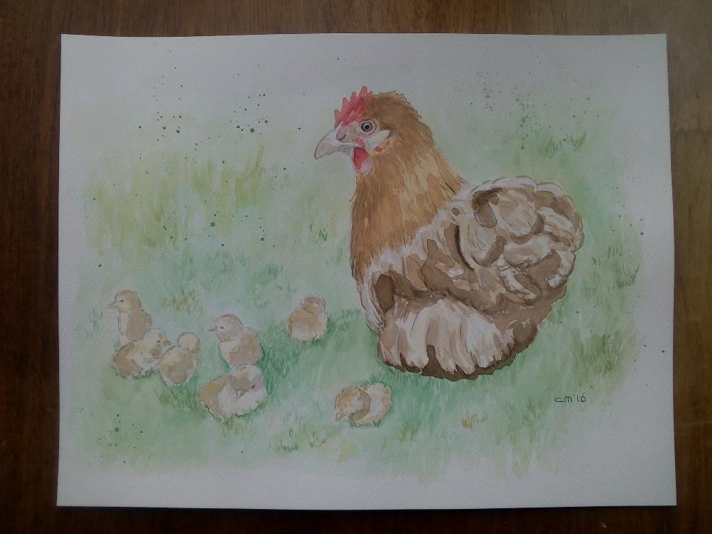 Aquarel Kip met kuikens 35 x 27 cm, Ophalen, Minder dan 50 cm, Oorspronkelijke maker, Nieuw