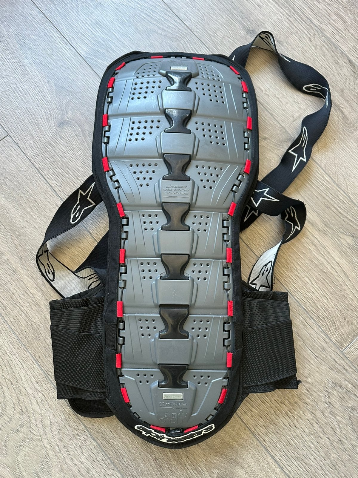Alpinestars rugprotector, Ophalen of Verzenden, Tweedehands, Overige typen