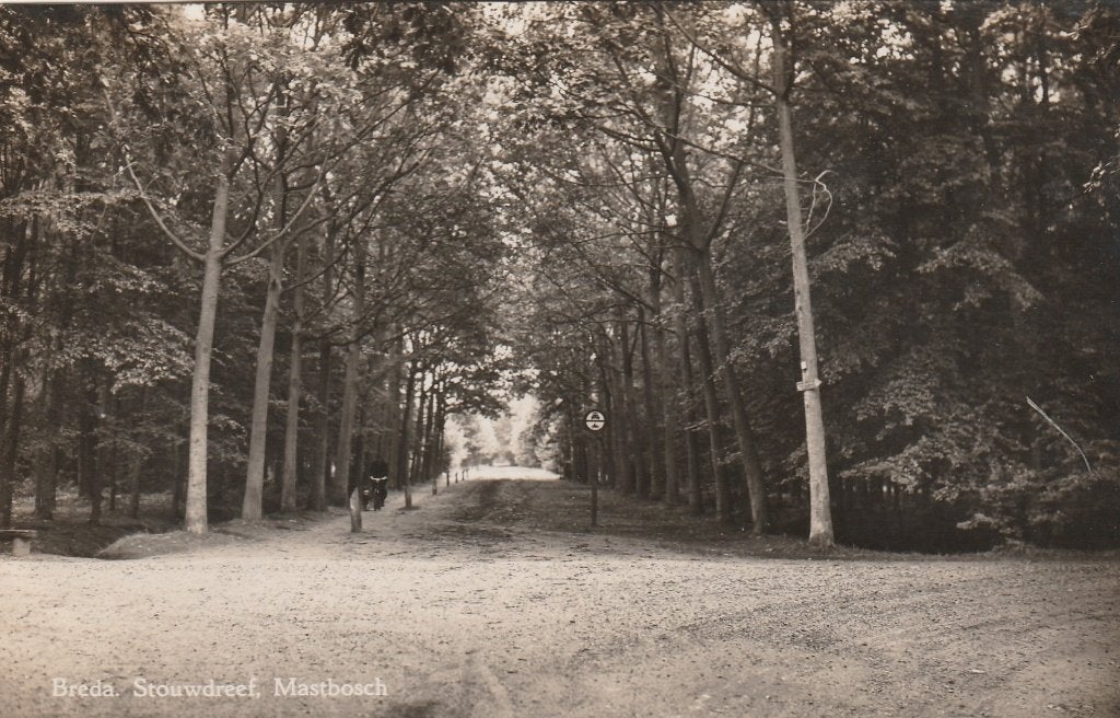 breda- mastbosch, Ophalen of Verzenden, Voor 1920, Noord-Brabant