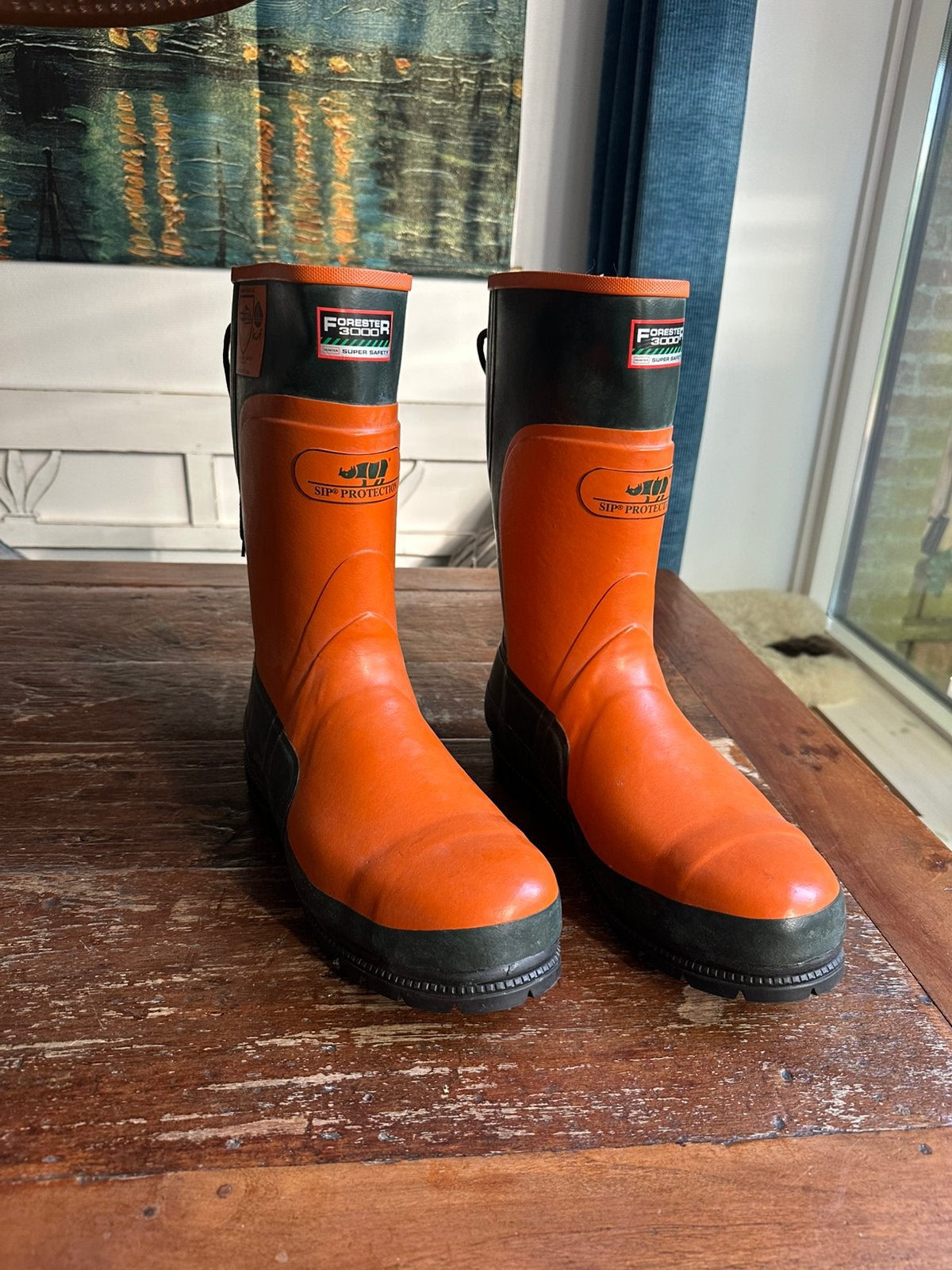 Professionele bosbouw laarzen, Tuin en Terras, Werkkleding, Ophalen, Zo goed als nieuw, Heren, Laarzen