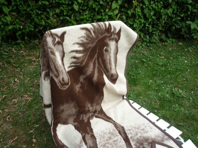Dralon deken  paarden 225 x150cm IZGS Paardenmeisjes let op!, Ophalen of Verzenden, Gebruikt