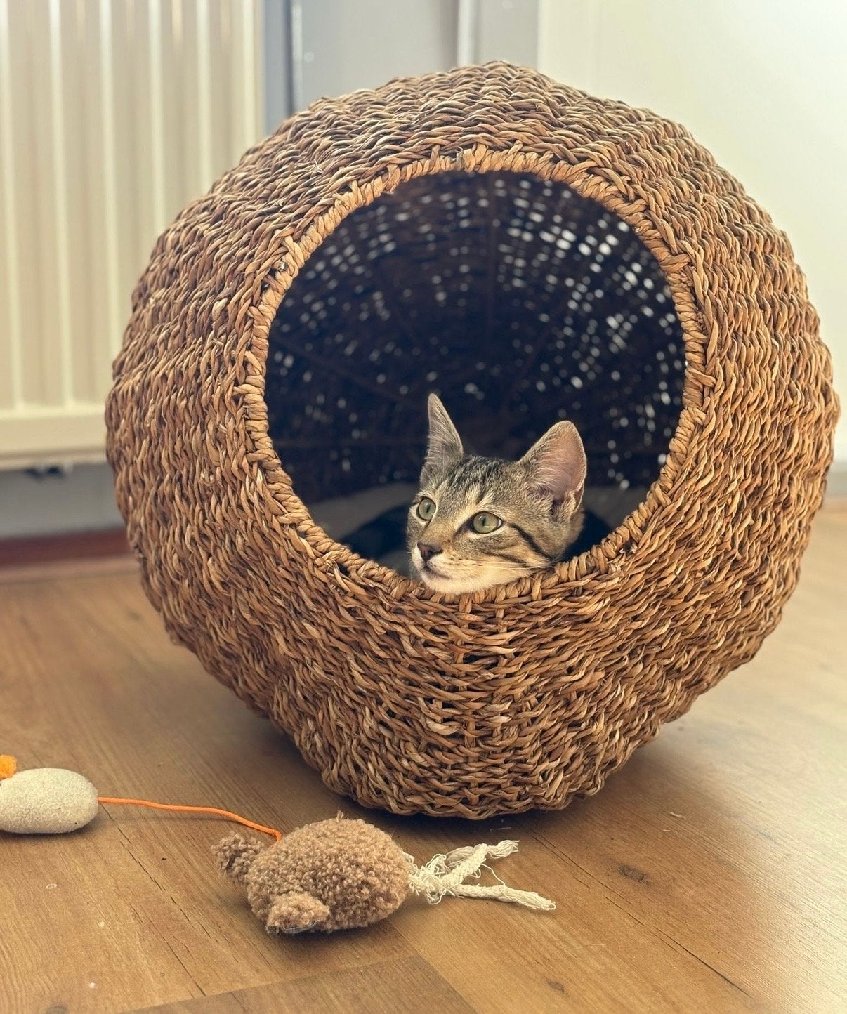 Kattenmand Zara van seagrass, Ophalen
