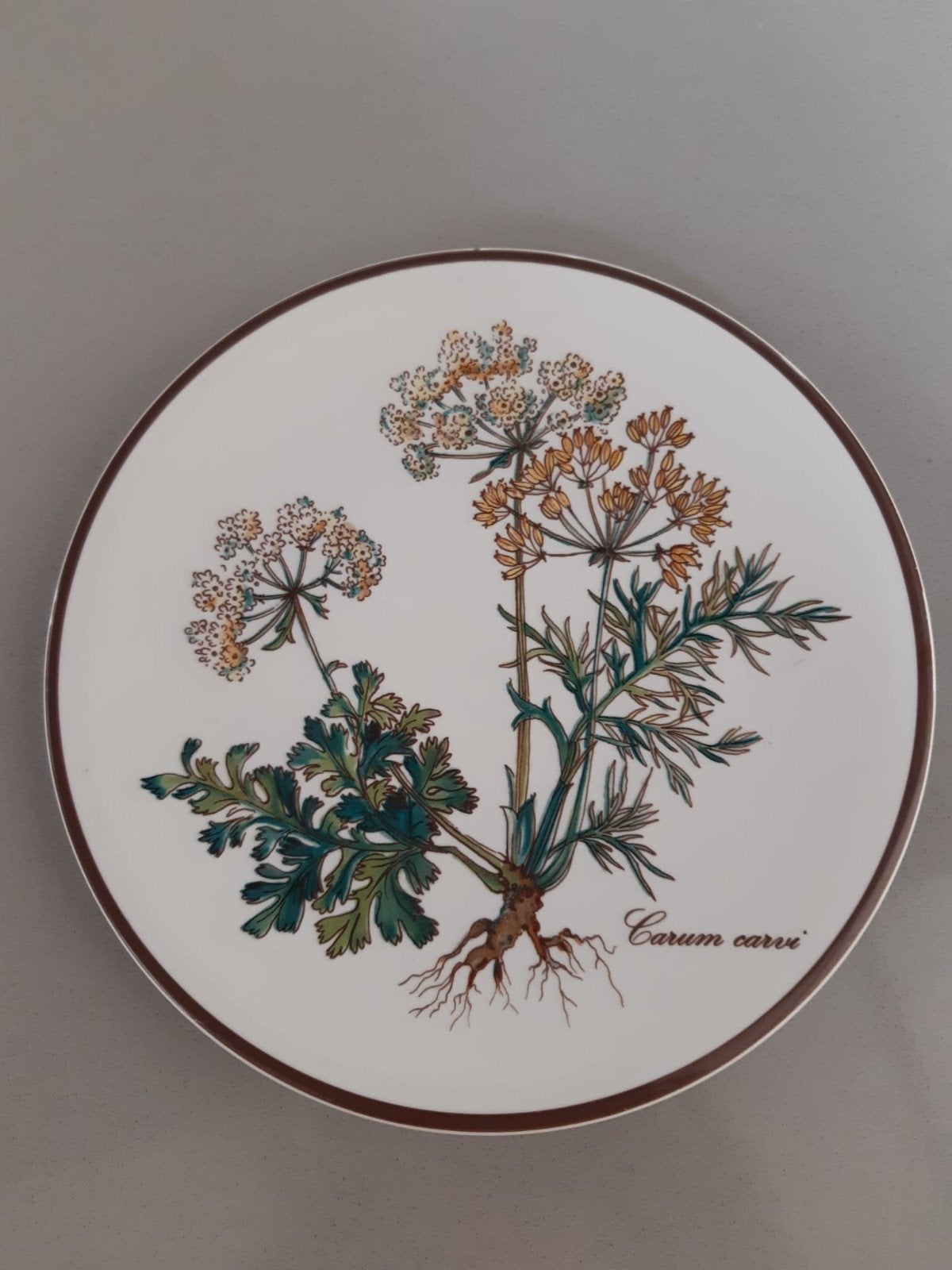4 Platte Gebaksbordjes Villeroy en Boch Botanica, Ophalen of Verzenden, Zo goed als nieuw, Bord(en), Overige stijlen