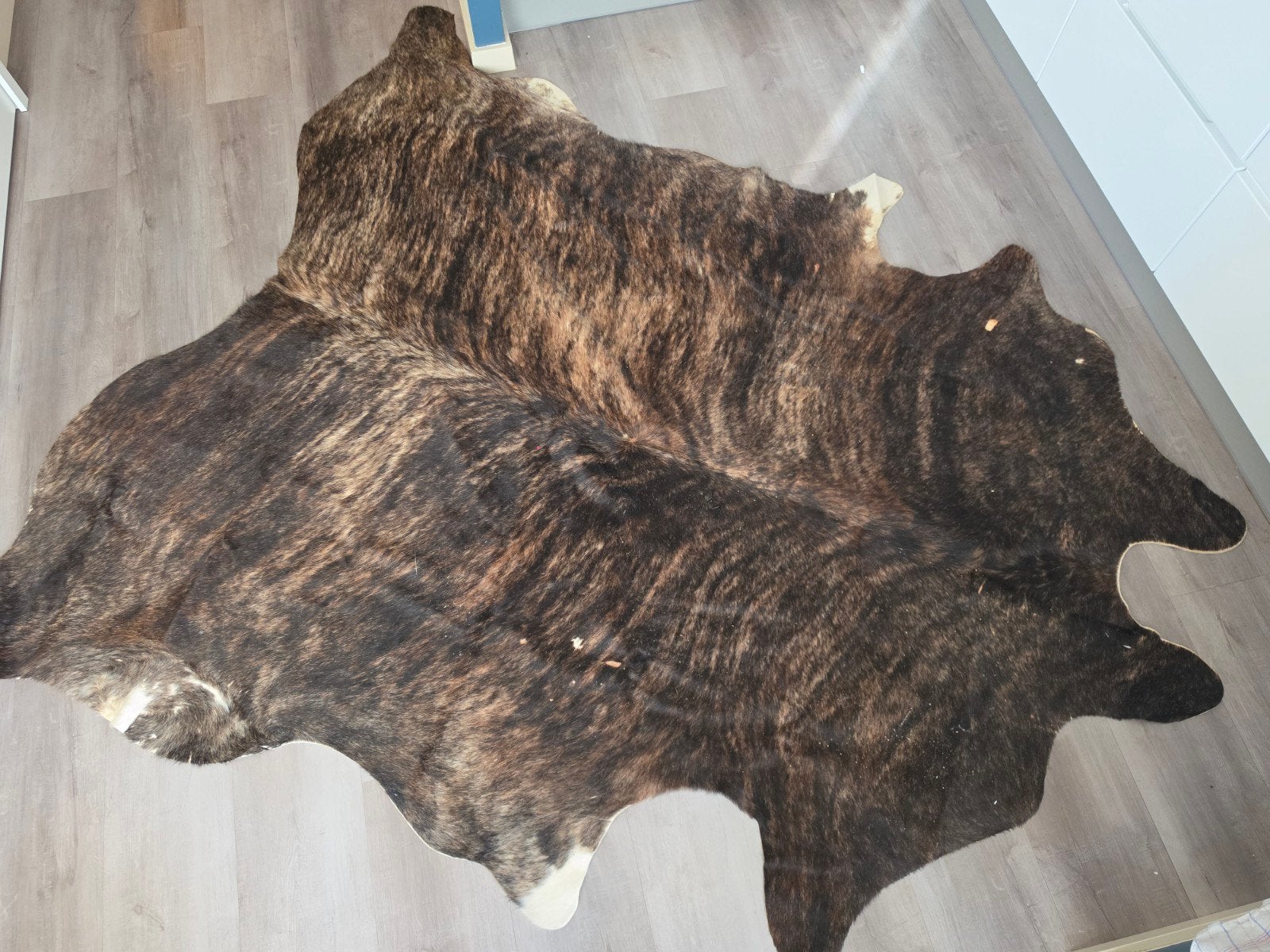 Prachtige grote echte koeienhuid / vloerkleed – 241 x 210 cm, Ophalen, 200 cm of meer, 200 cm of meer