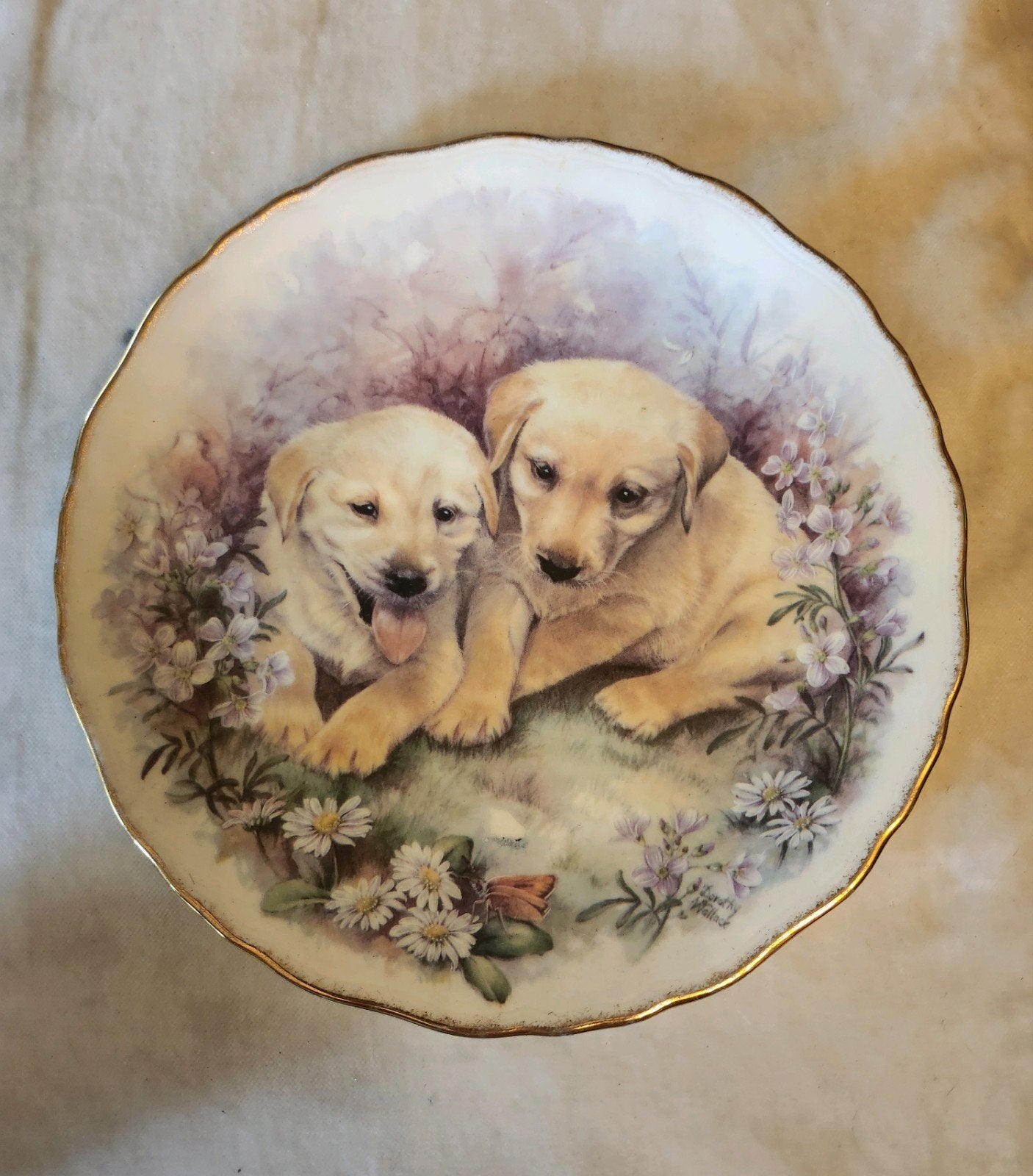 Royal Kent Puppies Collectors ltem, Ophalen of Verzenden