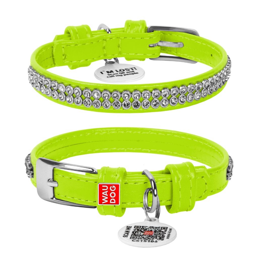 WAUDOG Glamour Halsband Leder Groen XXS Nek 19-25 cm KOOPJE!, Ophalen of Verzenden, Handgemaakt, Nieuw