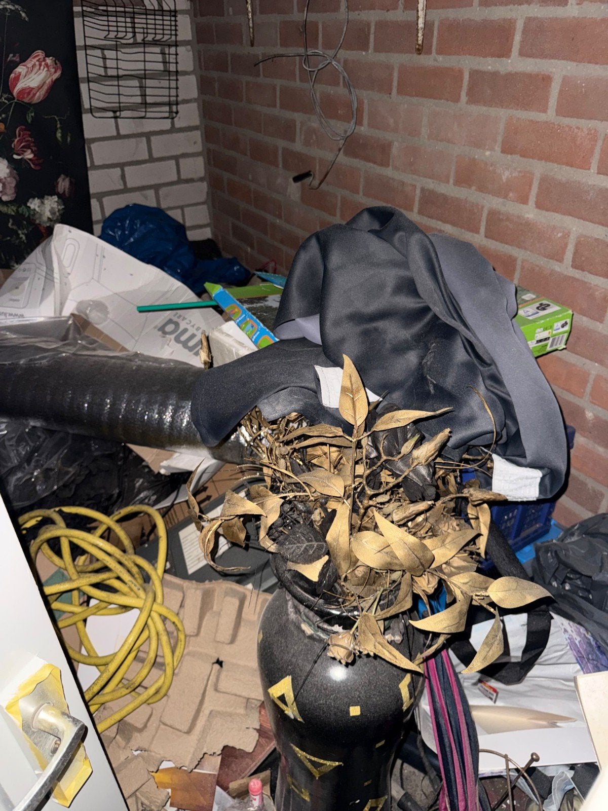 WIJ DOEN STORT RIJDEN, Ophalen of Verzenden