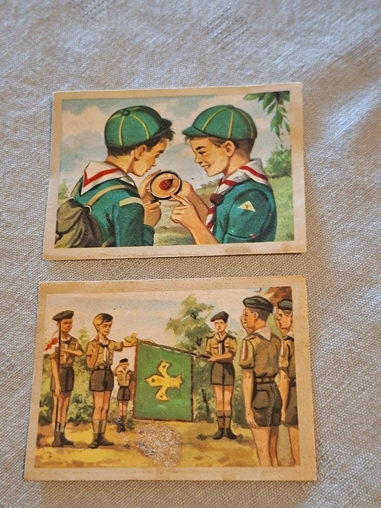 2 Prenten/Chromo's : Padvinderij / Chocolade Jacques, 1960 tot 1980, Gebruikt, Ophalen of Verzenden, Prent