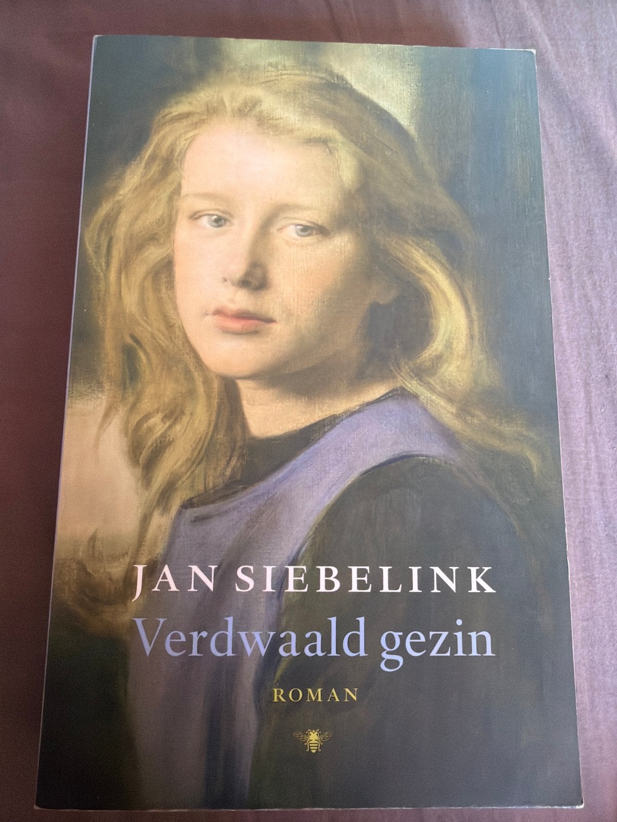 S5.   Jan Siebelink - Verdwaald gezin (Roman), Ophalen of Verzenden, Gelezen, Nederland