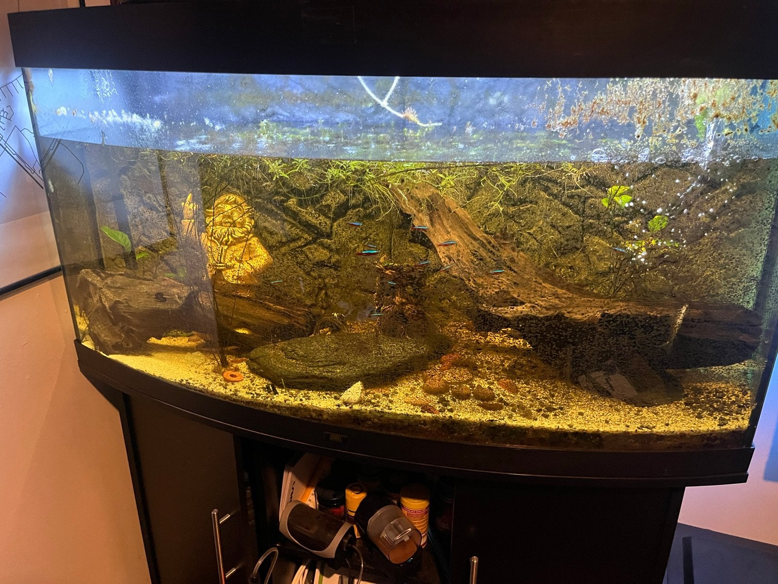 Aquarium, Ophalen