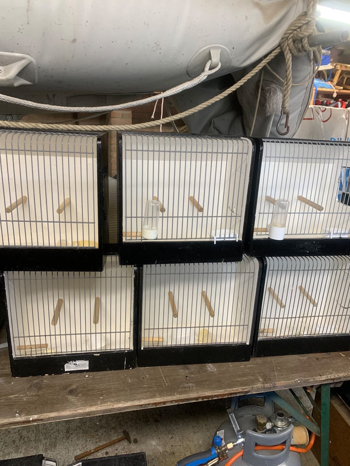 Te koop TT kooien, Dieren en Toebehoren, Ophalen of Verzenden