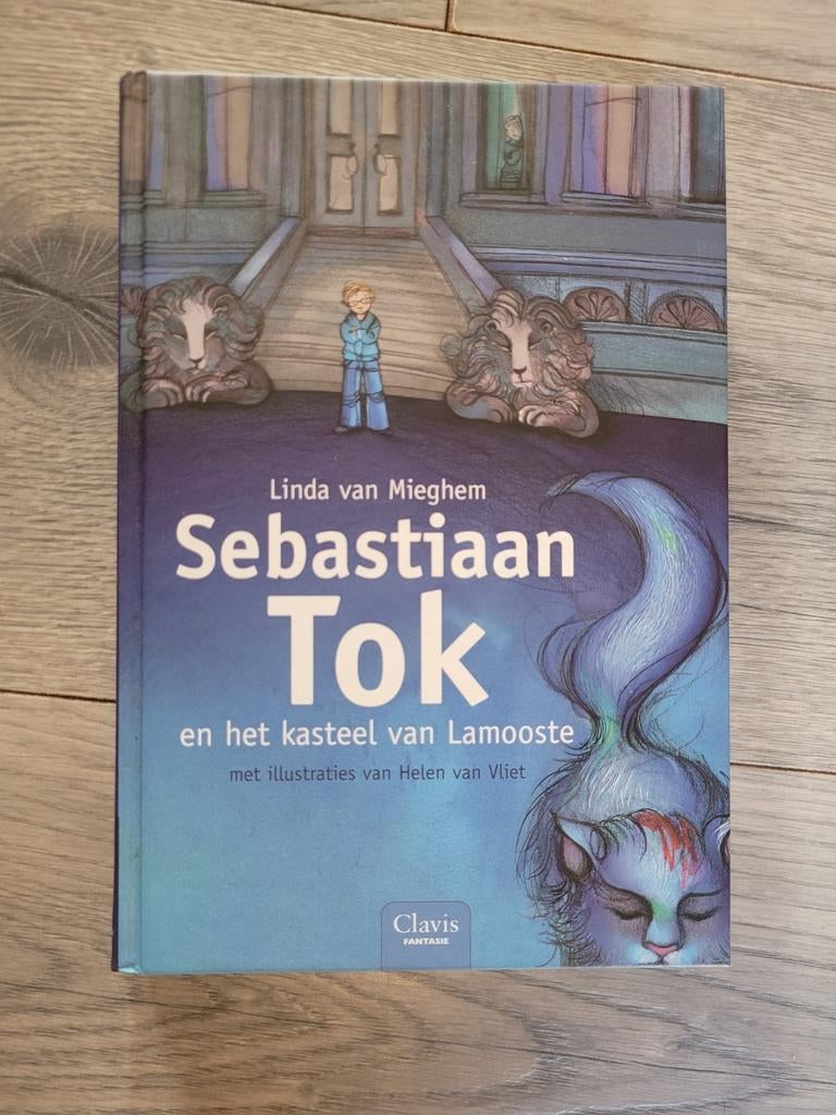 Sebastiaan Tok en het kasteel van Lamooste, Ophalen of Verzenden, Zo goed als nieuw, Linda van Mieghem, Fictie algemeen