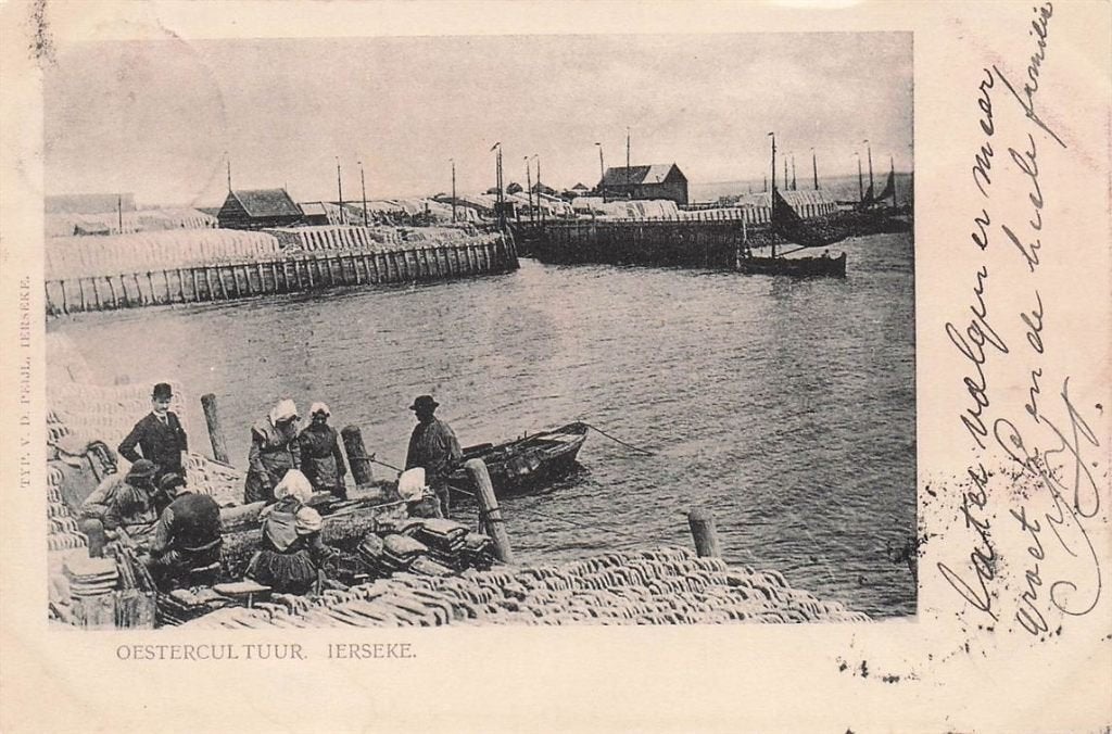 703-197-053 Yerseke Oestercultuur, Verzamelen, Ophalen of Verzenden, Voor 1920, Zeeland