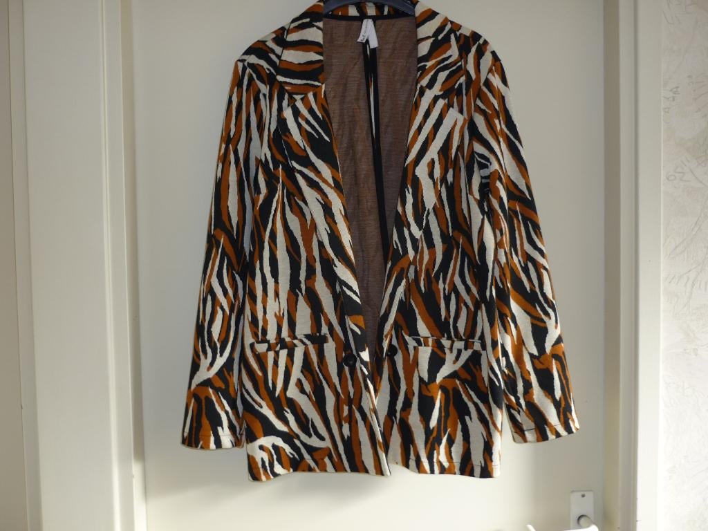 Jasje, Ophalen, Overige kleuren, Maat 46/48 (XL) of groter, Zo goed als nieuw