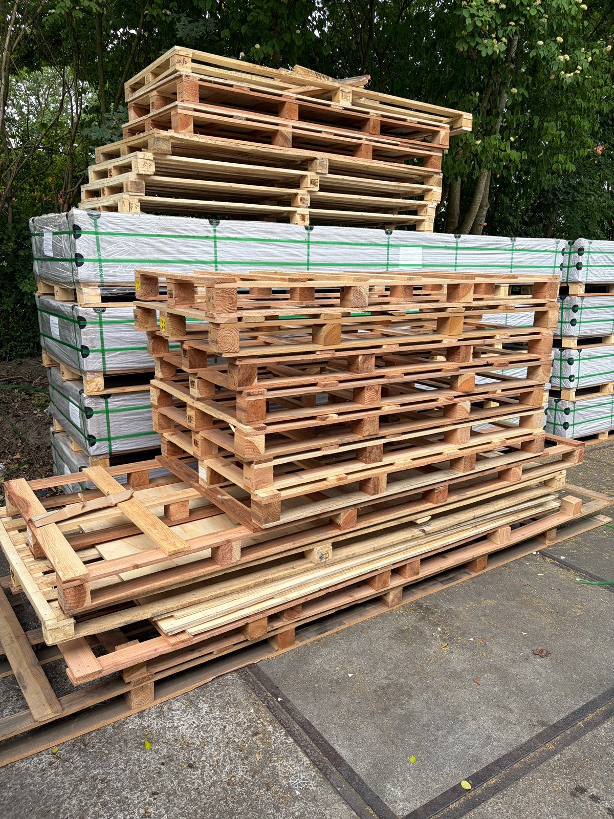 Pallets - brandhout, Doe-het-zelf en Verbouw, Hout en Planken, Ophalen, Zo goed als nieuw, Pallet, Minder dan 200 cm