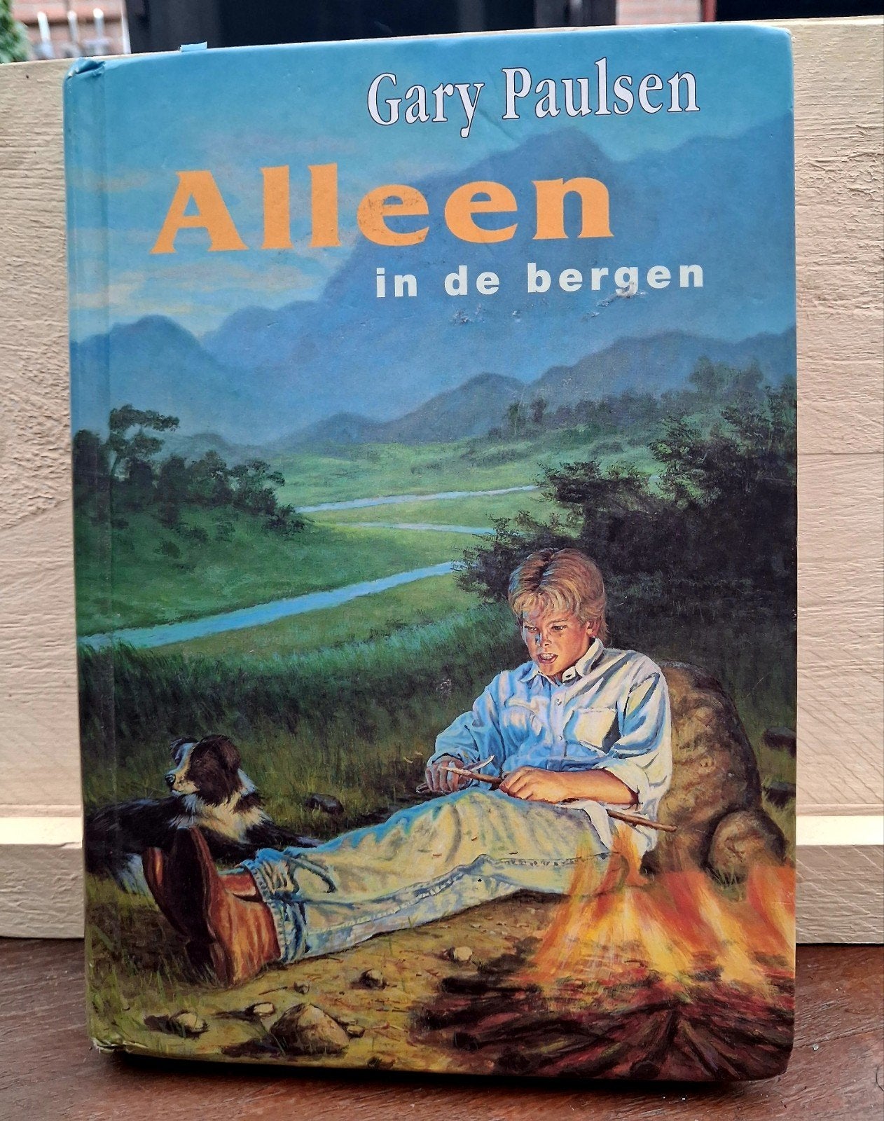 Alleen in de bergen - Gary Paulsen (Hardcover), Boeken, Ophalen of Verzenden, Gelezen