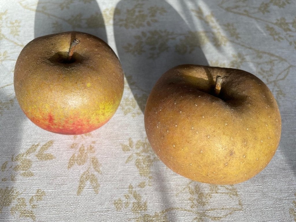 Appels, Ophalen