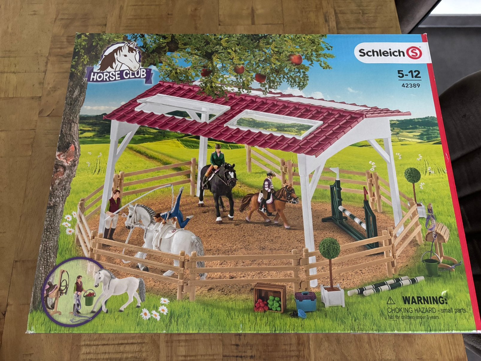 Schleich Horse Club Paardenmanege met paarden en ruiters, Ophalen, Zo goed als nieuw, Jongen of Meisje