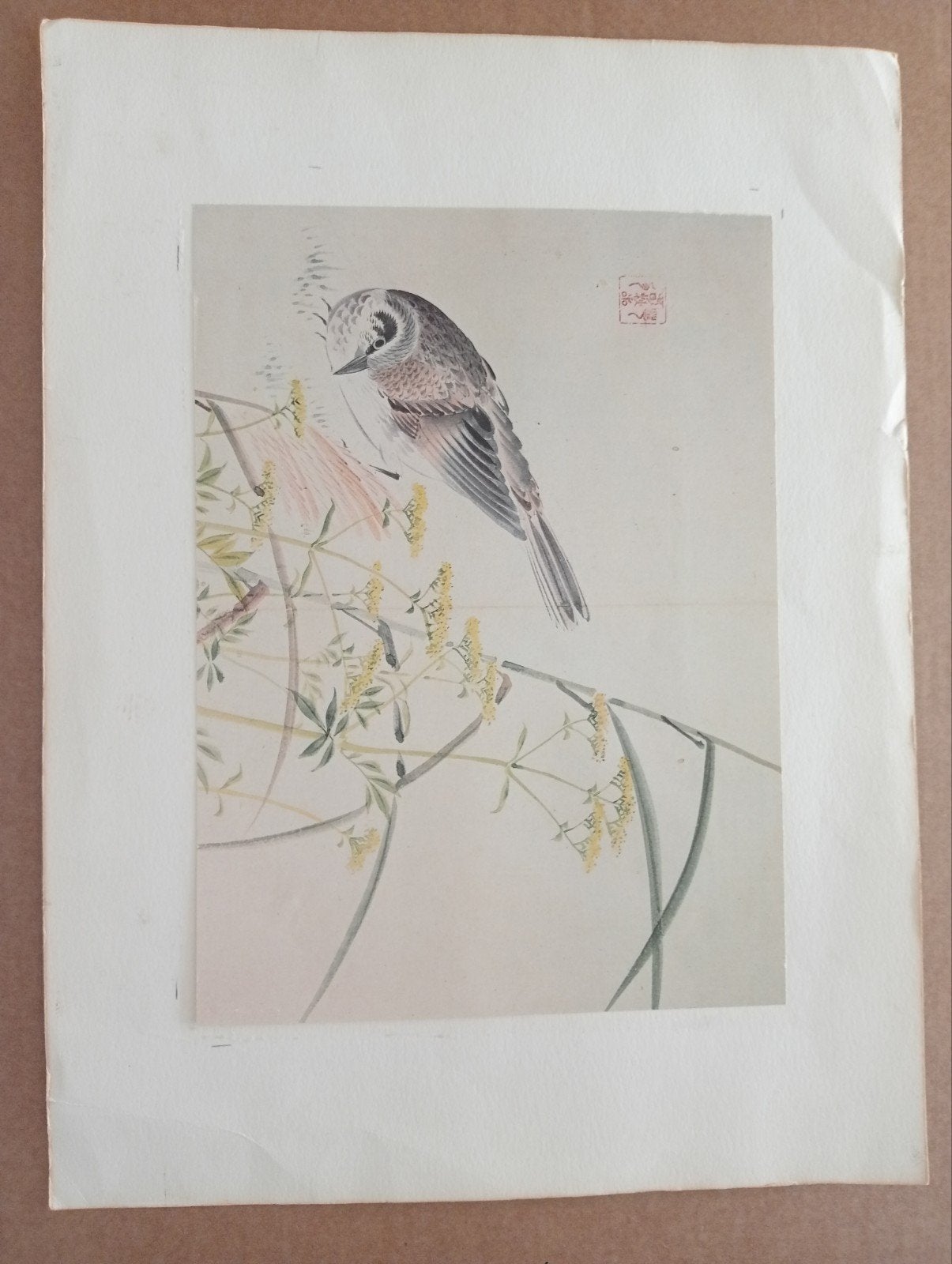 Print Vogel China of Japan, Antiek en Kunst, Kunst | Litho's en Zeefdrukken, Ophalen of Verzenden