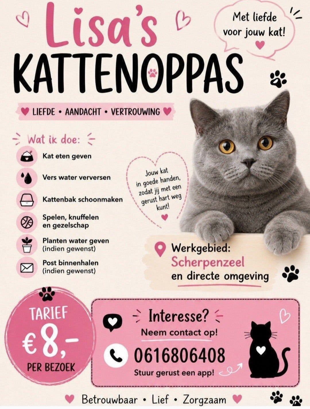 Kattenoppas aangeboden!, Ophalen of Verzenden, Nieuw