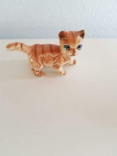 poes voor in letterbak, Ophalen of Verzenden, Zo goed als nieuw, Dier