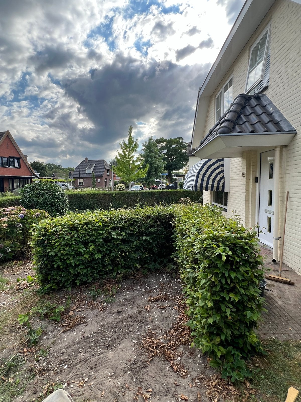4 meter beukenhaag met hoek - zelf verwijderen, Tuin en Terras, Ophalen, Beukenhaag, Haag, 100 tot 250 cm