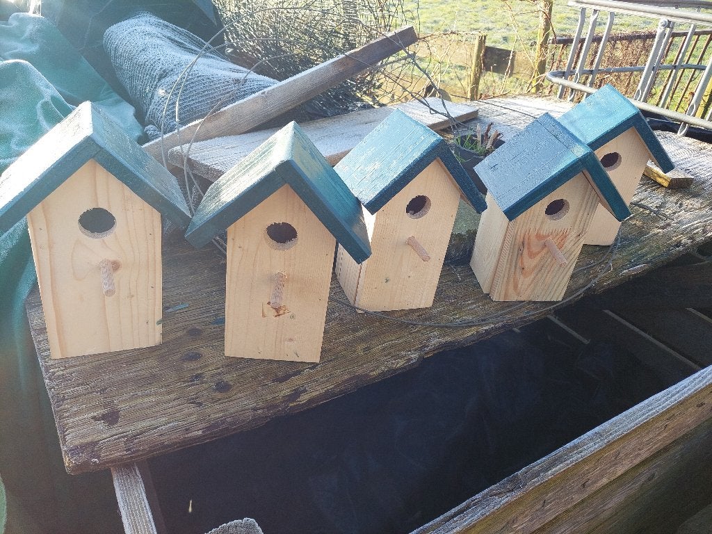 vogelhuisjes, Ophalen of Verzenden, Nieuw