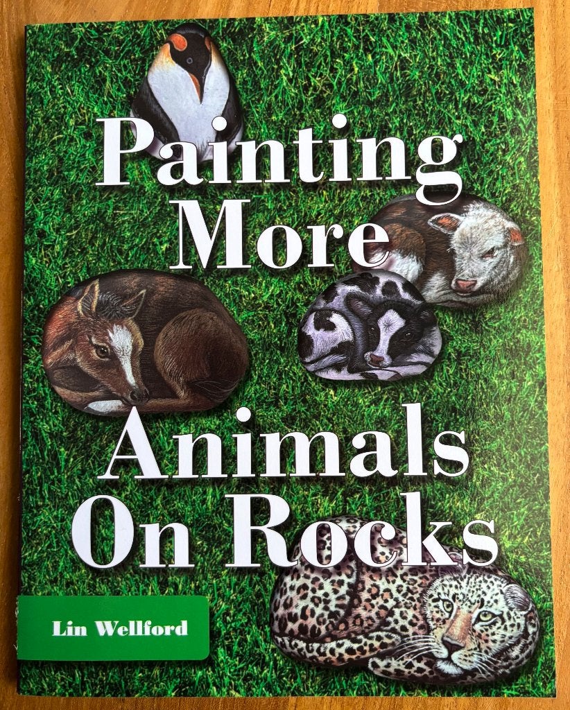 Boek Schilderen op stenen / Painting animals on rocks, Hobby en Vrije tijd, Schilderen, Verzenden, Zo goed als nieuw, Overige typen