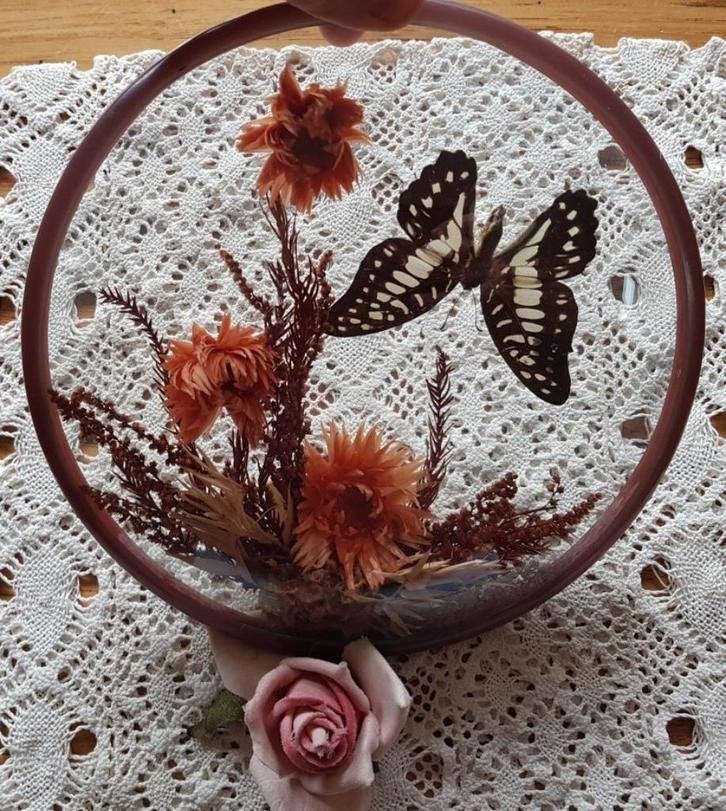 Franse ingelijste vlinder + droogbloemen, Ophalen of Verzenden