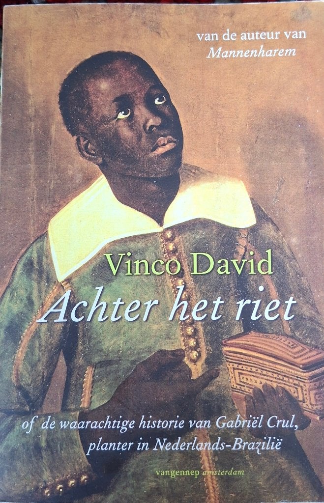 Vinco David : achter het riet ( homo , gay ), Ophalen of Verzenden, Gelezen