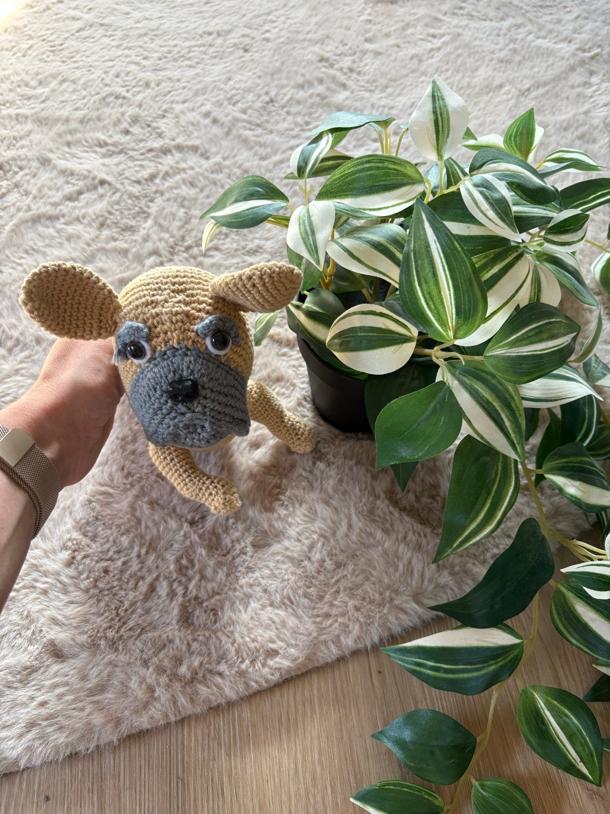 Gehaakte Franse Bulldog Knuffel - Handgemaakt, Handgemaakt, Zo goed als nieuw, Middelgroot (20 tot 80 cm), Beige