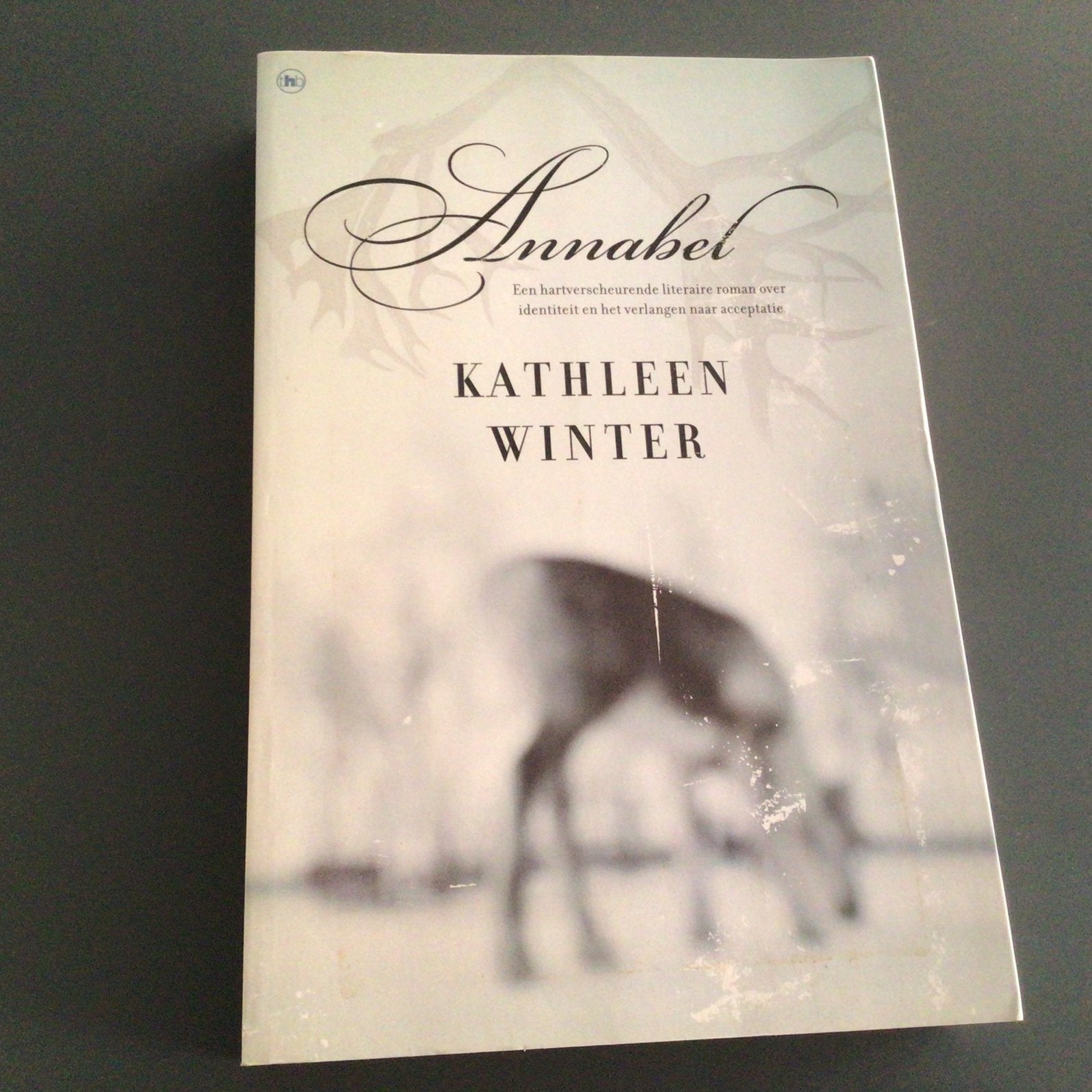 Annabel -  Kathleen Winter, Boeken, Ophalen of Verzenden, Zo goed als nieuw, Wereld overig