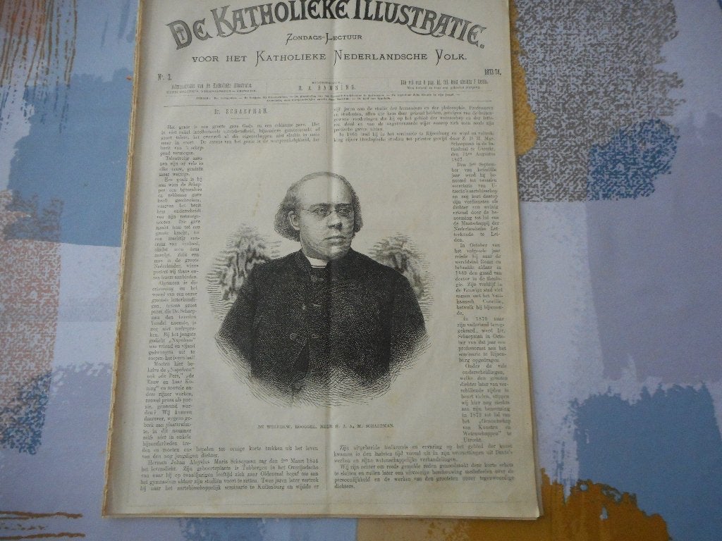Tubbergen. Dr. Schaepman. 1873/1874., Ophalen of Verzenden, 1980 tot heden, Nederland, Knipsel(s)