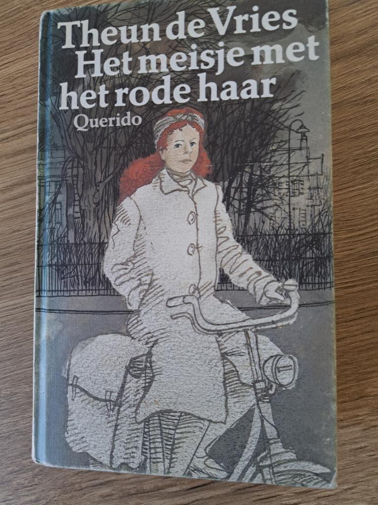 Het meisje met het rode haar, Boeken, Gelezen, Theun de Vries, Ophalen of Verzenden, Nederland