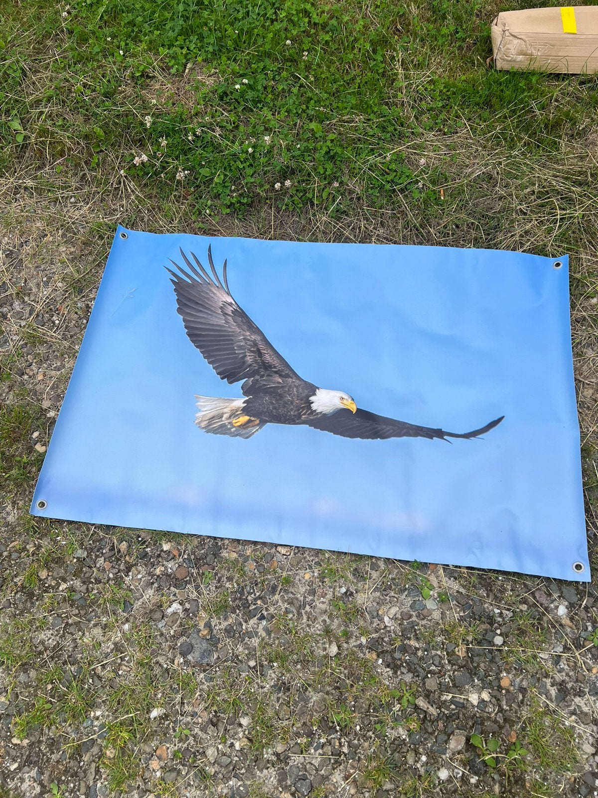Tuinposter roofvogel €10,- afhaal, Tuin en Terras, Ophalen