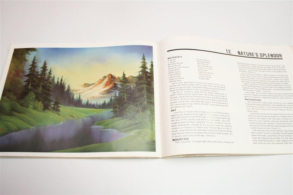 Leer Schilderen met Bob Ross — Deel 17, Ophalen of Verzenden, Gelezen, Tekenen en Schilderen