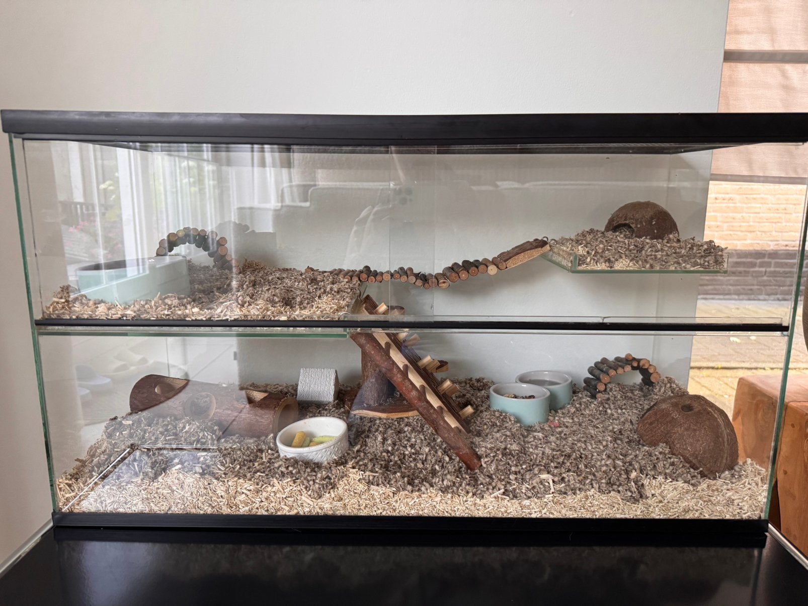 Hamsterbak / terrarium met veel toebehoor, Dieren en Toebehoren, Knaagdieren en Konijnen | Hokken en Kooien, Kooi, Minder dan 75 cm