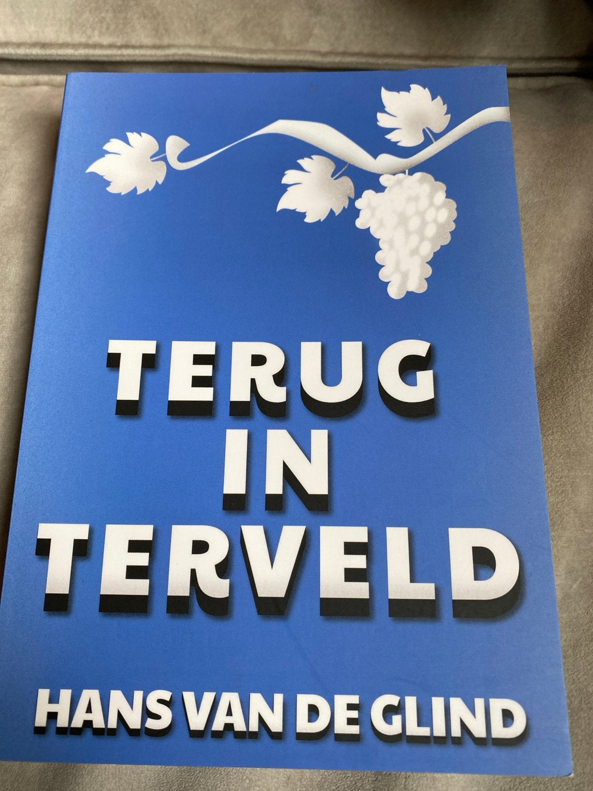 Terug in Terveld - Hans van de Glind (Roman), Boeken, Ophalen of Verzenden, Zo goed als nieuw, Nederland