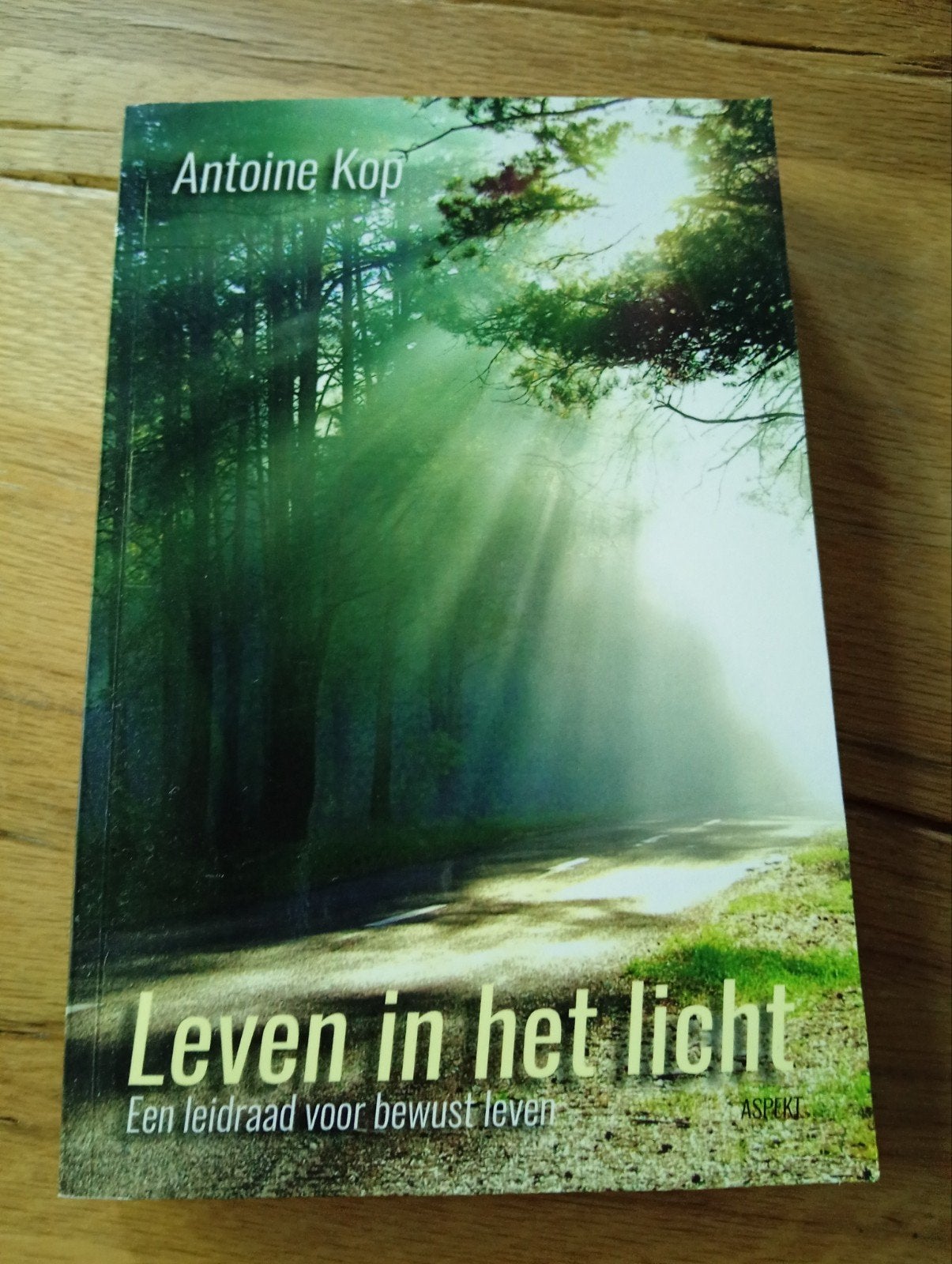 Leven in het licht - Antoine Kop (Zo goed als nieuw), Boeken, Gelezen, Achtergrond en Informatie, Spiritualiteit algemeen, Antoine Kop